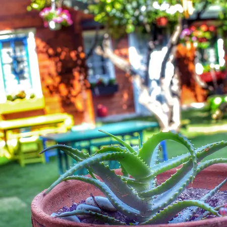 Отель Pirlanta Butik 3*